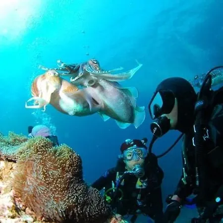 Cascata, 3 Bedroom, Pool, Close To Olhos De Agua Vila