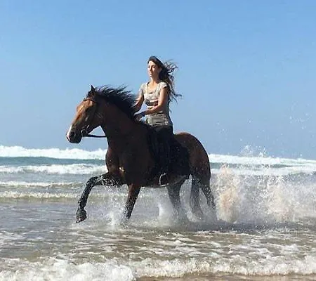 Cascata, 3 Bedroom, Pool, Close To Olhos De Agua Vila Albufeira