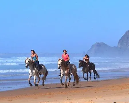 Villa Cascata, 3 Bedroom, Pool, Close To Olhos De Agua Albufeira